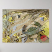 ロックプール ポスター (正面)