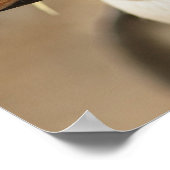 ロックホッパーペンギンポスター ポスター (角)