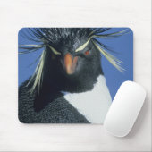 ロックホッパーペンギン マウスパッド (マウス)