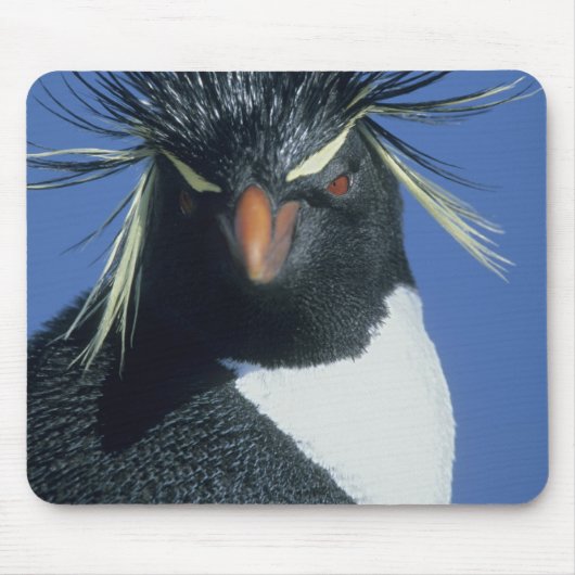 ロックホッパーペンギン マウスパッド (正面)