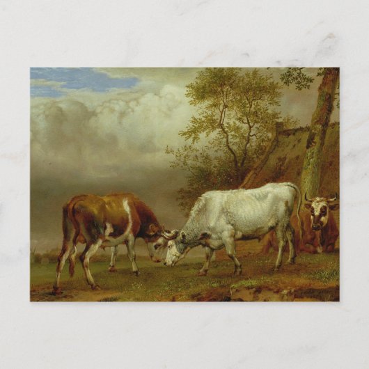 ロックホーン付き2頭, 1653 ポストカード (正面)