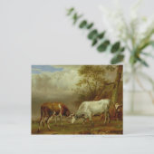 ロックホーン付き2頭, 1653 ポストカード (スタンド正面)