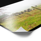 ロックポートメインでベルテッドガロウェイ牛 フォトプリント            (角)