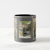 ロックマグカップのアライグマ ツートーンマグカップ (中央)