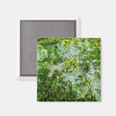 ロックマグネット上の苔と地衣類 マグネット (正面/裏面)