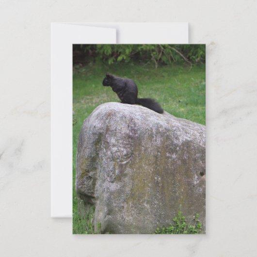 ロックリスにかわいい黒リス自然 サンキューカード (正面)