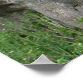 ロックリスにかわいい黒リス自然 ポスター (角)