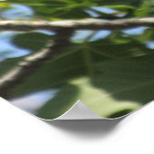 ロックリス ポスター (角)