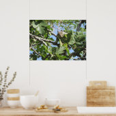 ロックリス ポスター (キッチン)