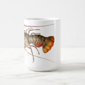 ロックロブスター-パヌリラスレジス コーヒーマグカップ (中央)