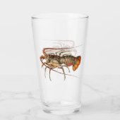 ロックロブスター – パヌリースレジス タンブラーグラス (裏面)