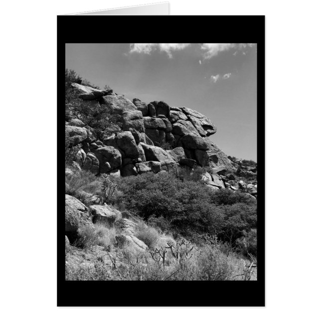 ロックンロール (正面)