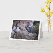 ロック上の赤いコマドリ カード (黄色い花)