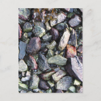 ロック無地の ポストカード