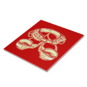 ロック登山ハーネス タイル (側面)