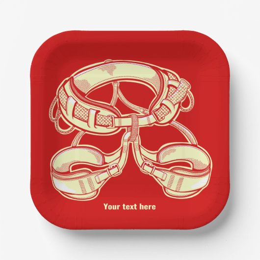 ロック登山ハーネス ペーパープレート (正面)