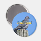 ロック鳩ハト磁石 マグネット (正面/裏面)