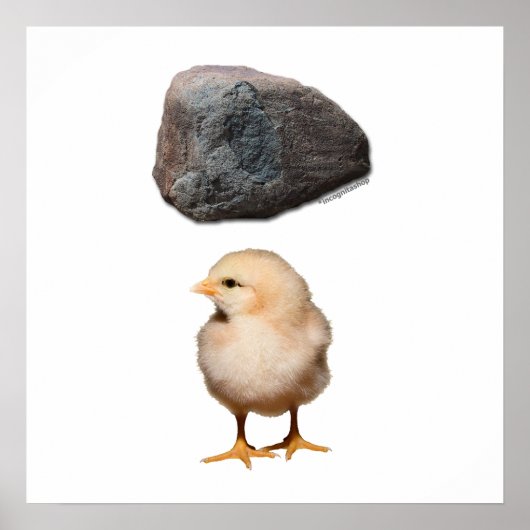 ロック+シック ポスター (正面)