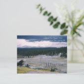 ロッジポールパインイエローストーン国立公園1968 ポストカード (スタンド正面)