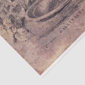 ロッスター組織またはデコページ紙 薄葉紙 (詳細)