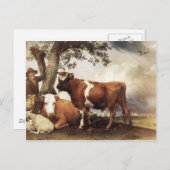 ロッターの牛 ポストカード (正面/裏面)