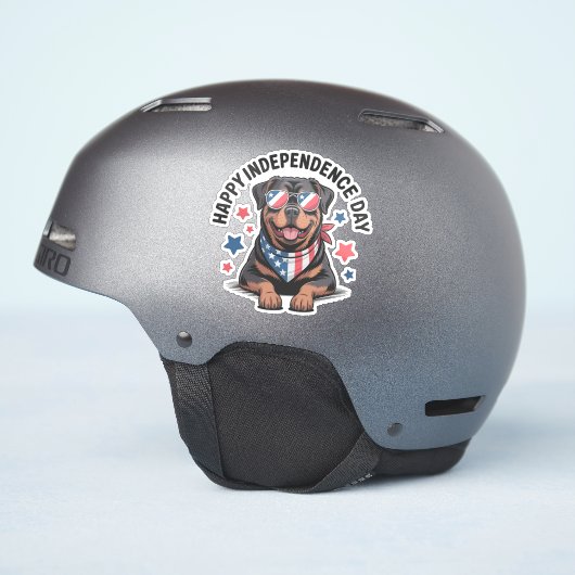 ロッティパトリオットポーズ シール (ヘルメット側面)
