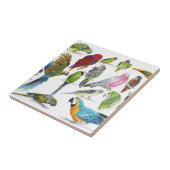 ロットのオウムの多くおよび多くおよびギフトの多く タイル (側面)