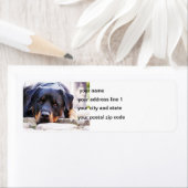 ロットワイラーかわいい新 ラベル (インサイチュ)