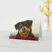 ロットワイラーのバースデー・カード カード (黄色い花)