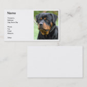 ロットワイラーの名刺 名刺 (正面/裏面)