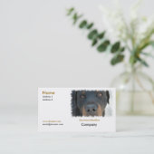 ロットワイラーの名刺 名刺 (スタンド正面)