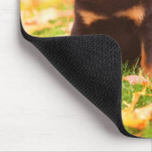 ロットワイラーの子犬の座って紅葉 マウスパッド (コーナー)