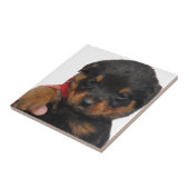 ロットワイラーの子犬の赤 タイル (側面)