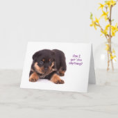 ロットワイラーの子犬Get Well Card カード (黄色い花)