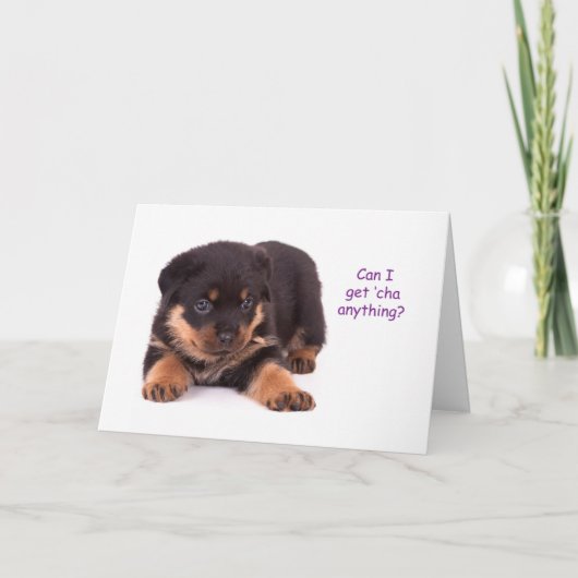 ロットワイラーの子犬Get Well Card カード (正面)