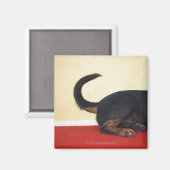 ロットワイラーの尻尾、後部部分 マグネット (正面/裏面)