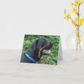 ロットワイラーの"アポロ"挨拶状 カード (黄色い花)