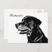 ロットワイラーはがき ポストカード (正面/裏面)