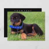 ロットワイラーカップ 招待状 (正面/裏面)