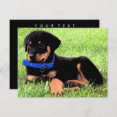 ロットワイラーカップ 招待状 (正面/裏面)