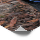 ロットワイラーハイジのポスター ポスター (角)