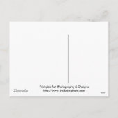 ロットワイラーパピーサンタポーズカード シーズンポストカード (裏面)