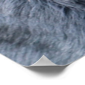 ロットワイラーポートレート ポスター (角)