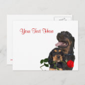 ロットワイラーレッドローズバレンタインデザイン シーズンポストカード (正面/裏面)