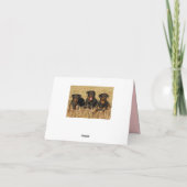 ロットワイラーワンピードッグピンクノ空白のートカード カード (裏面)