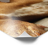 ロットワイラー子犬の憧れ フォトプリント            (角)