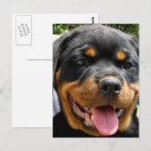 ロットワイラー子犬顔犬かわいい ポストカード (正面/裏面)