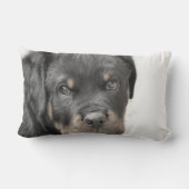 ロットワイラー犬のlumbarの装飾用クッション ランバークッション (裏面)