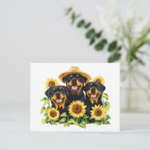 ロットワイラー犬ひまわりの花 シーズンポストカード (スタンド正面)