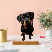 ロットワイラー犬 アクリルサイン (ウェディング)